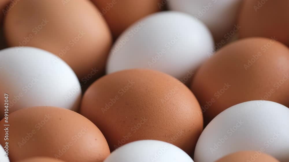 Chicken egg, rotation shot, Chicken fresh raw eggs.Healthy fresh food ingredients for breakfast. Animal products. Grocery. Chicken farm fresh eggs Chicken egg, rotation shot, Chicken fresh raw eggs.Healthy fresh food ingredients for breakfast. Animal products. Grocery. Chicken farm fresh eggs