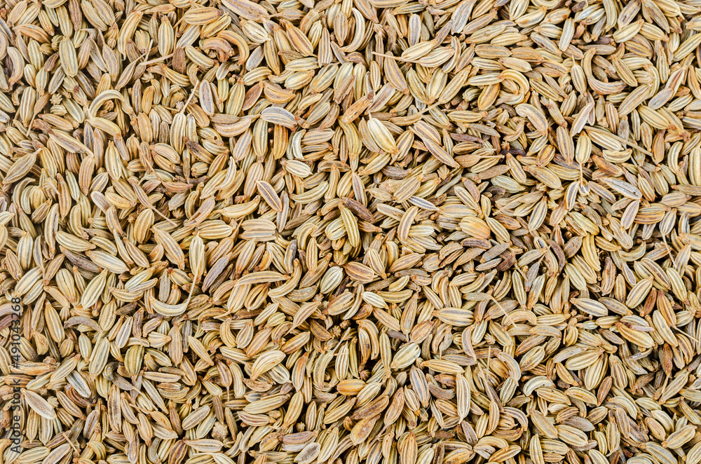 Fennel seeds background. Food background, top view.