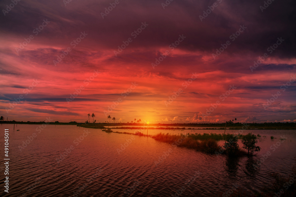 Naklejka premium Sunset at backwaters landscape photography, Kerala backwaters landscape photography, Kerala backwaters photography during day time Kadamakkudy Kerala