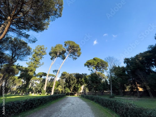 Photography Villa Ada park, Rome, Italy