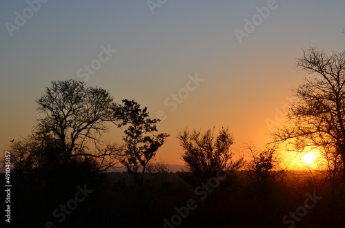 Parque Kruger South africa © Artena