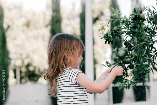 Cute toddler girl walking in garden with citrus trees.