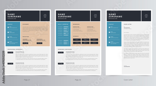 Professional Resume/CV and Cover Letter Template