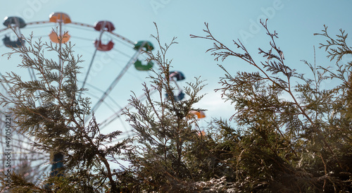 birds on a branch