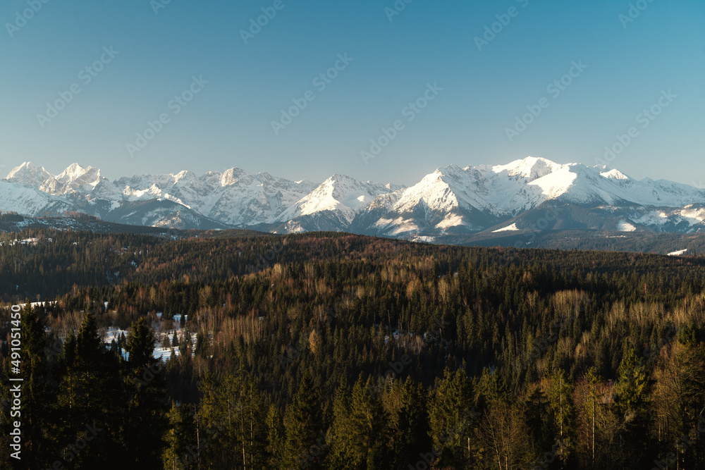 Zimowy widok z przełęczy nad Łapszanką na Tatry  Wysokie i Podhale. 