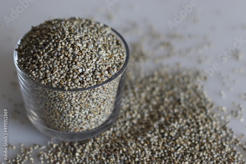 Bajra is a traditional Hindi name for the Pennisetum glaucum crop also known as pearl millet photo