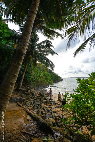 plage cachée par des palmiers sur l'océan indien