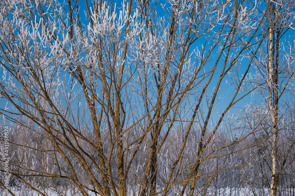 not frozen pond in winter