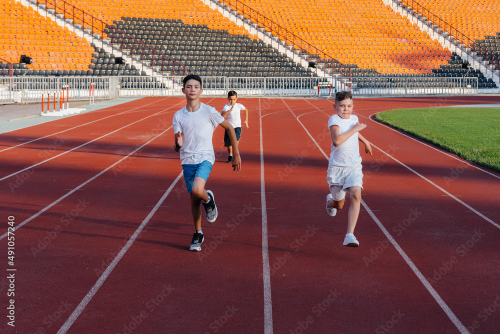 Fototapeta premium A large group of boys ' children are taught by a coach at the start before running at the stadium during sunset. A healthy lifestyle.