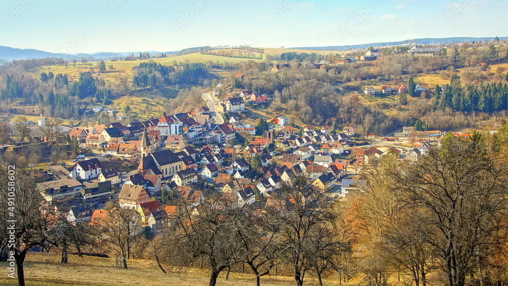 malerischer Blick von oben auf Stadt Wildberg im Schwarzwald mit Wald und Wiesen im Frühling