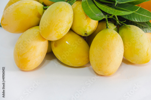 Marian plum was bunched with a wooden rope with white background
