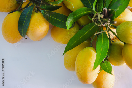Marian plum was bunched with a wooden rope with white background