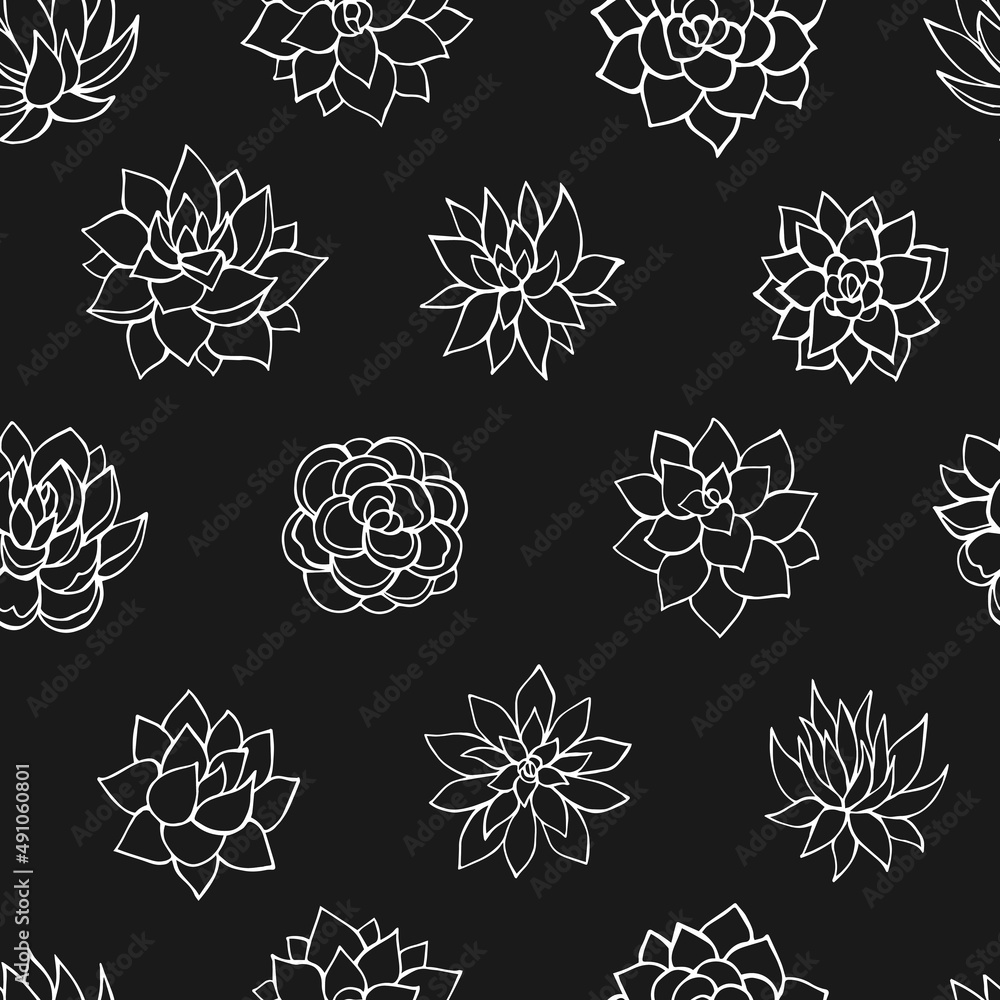 Seamless vector pattern of succulents. Background for greeting card, website, printing on fabric, gift wrap, postcard and wallpapers.