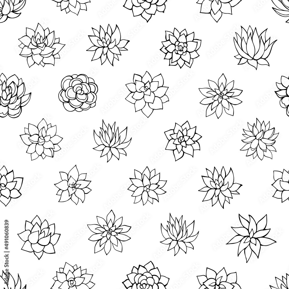 Seamless vector pattern of succulents. Background for greeting card, website, printing on fabric, gift wrap, postcard and wallpapers.
Seamless vector pattern of succulents. Background for greeting card, website, printing on fabric, gift wrap, postcard and wallpapers.