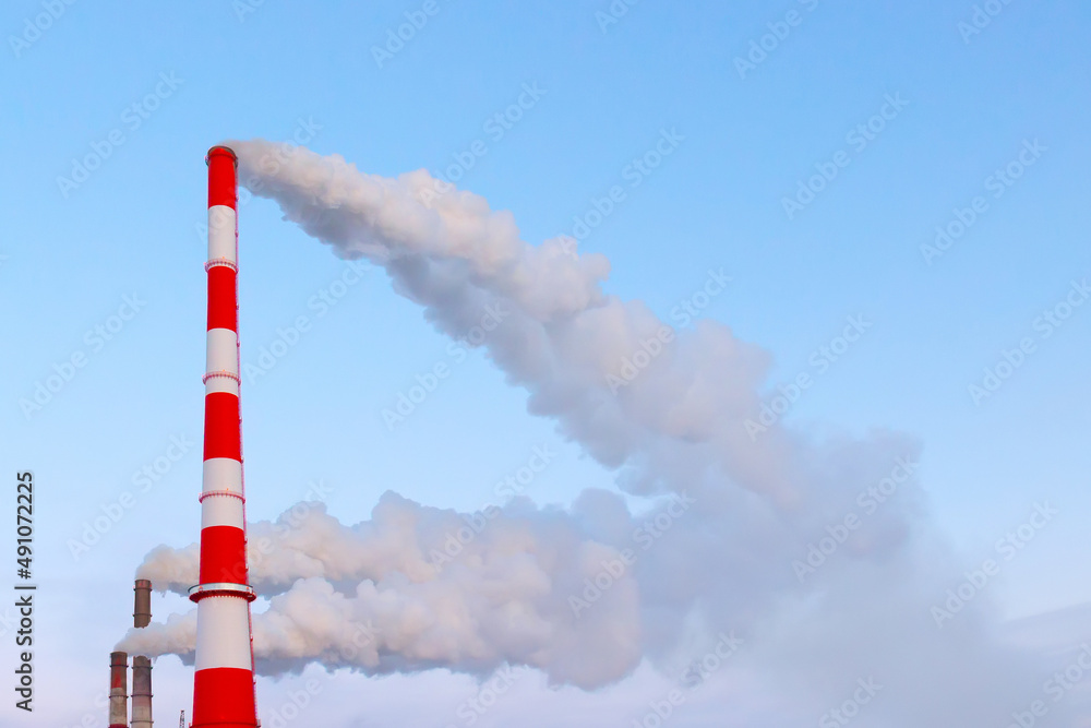 Thick white steam from pipes against the blue sky. Smoking red and white chimneys. Ecological background