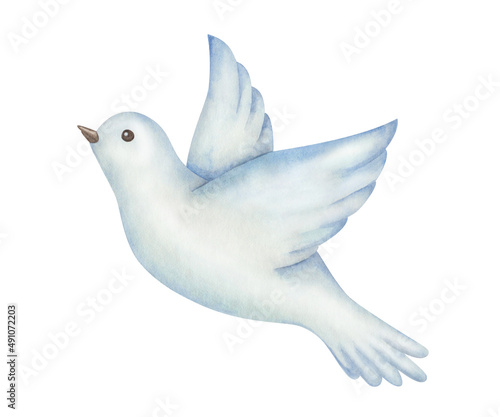 Watercolor illustration of hand painted bird flying with spread wings, blue white dove, pigeon. Isolated on white clip art element. Symbol of peace