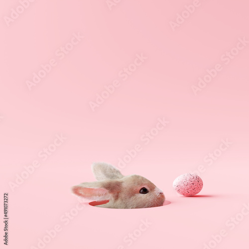 Fotografia Easter bunny peeps out of the hole on pastel pink background