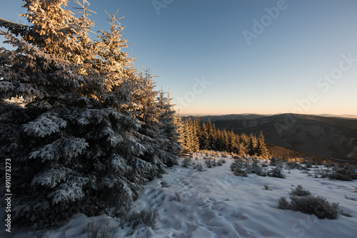 View of the landscape or nature detail from Lysá Hora. Queen of the Beskydy Mountains. Czech Republic Europe.