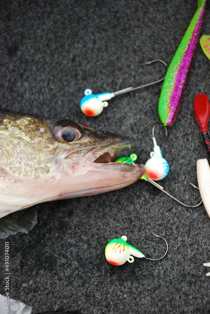 A walleye, jigs and plastic lures Stock Photo