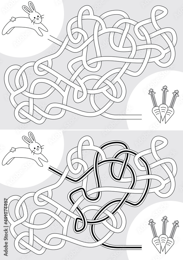 Naklejka premium Bunny maze