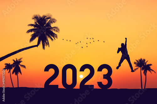 Silhouette man jumping with number 2023 and palm tree and birds flying at tropical beach on sunset sky abstract background. Happy new year and holiday celebration concept. photo