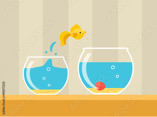 Goldfish jumping from small glass aquarium to bigger one