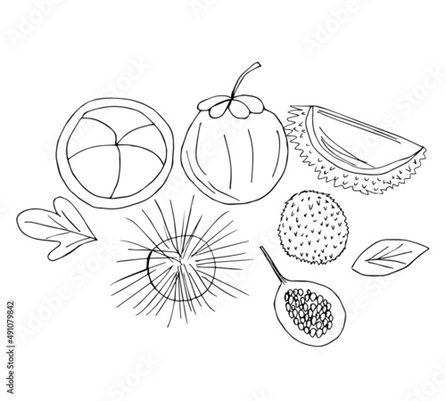 Fototapeta Naklejka Na Ścianę i Meble -  tropical fruits hand drawn vector set of whole and sliced fruits black and white doodle style illustration