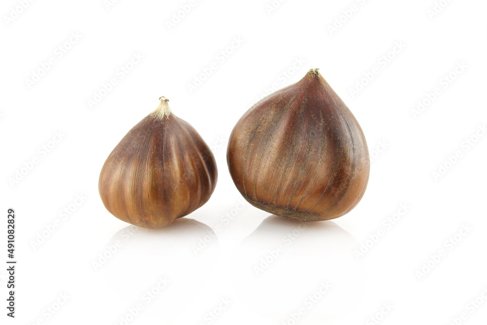 Fototapeta premium Two chestnuts isolated on white background