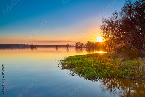 Sunset at Lake Talquin State Park near Tallahassee, FL. photo