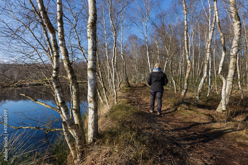 Wanderweg im Birkenwald am Moorsee, Kaltenhofer Moor