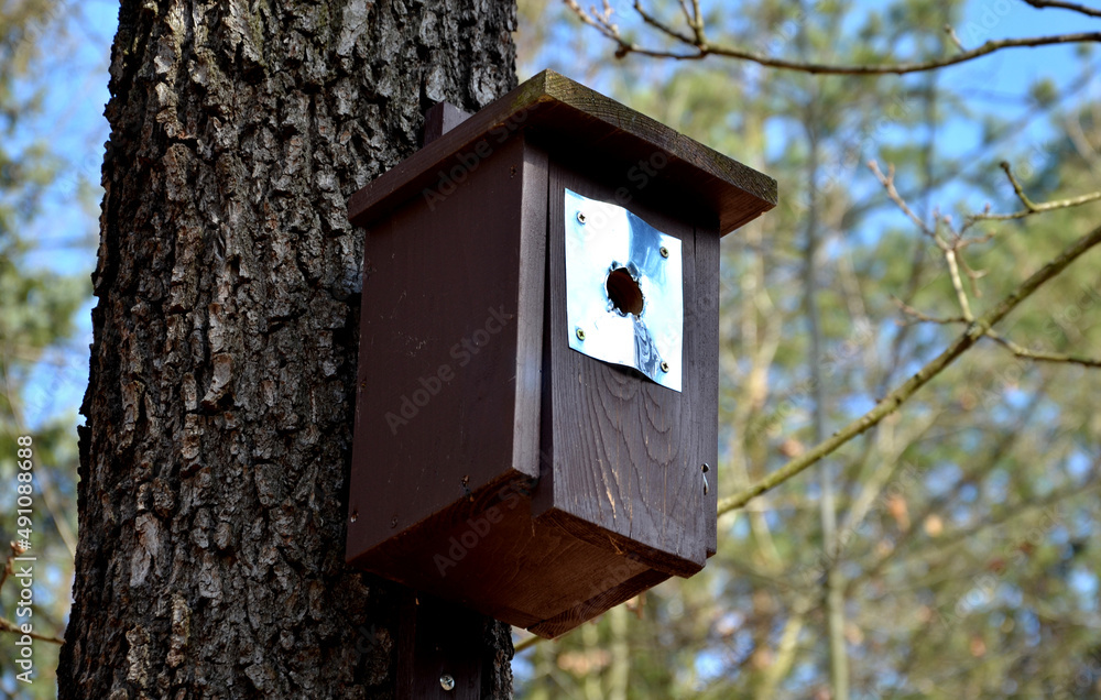 birdhouse built for smaller species of tit and robins that have a smaller inlet opening. The woodpecker likes to enlarge the hole with its beak. the plate is supposed to protect the fly, clogging