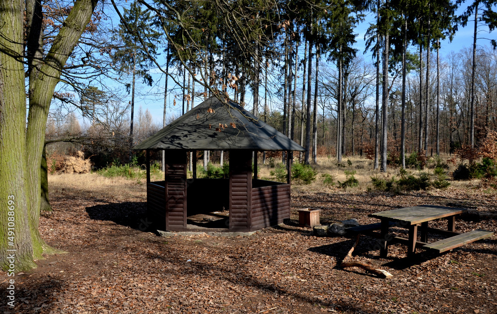 polygonal pergola with benches and a fence around the perimeter. there is a lot of space inside. the roof is pyramidal covered with asphalt shingles, in natural park, footpath, gravel, camping