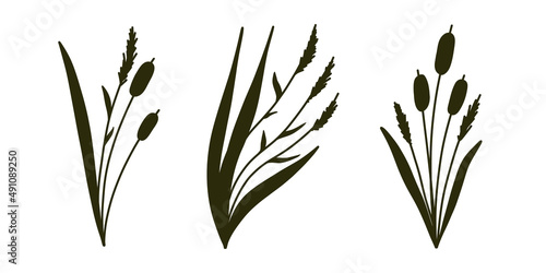 Reed Grass Silhouette. Black hand drawn Reeds Sketch. Vector set of isolated elements.