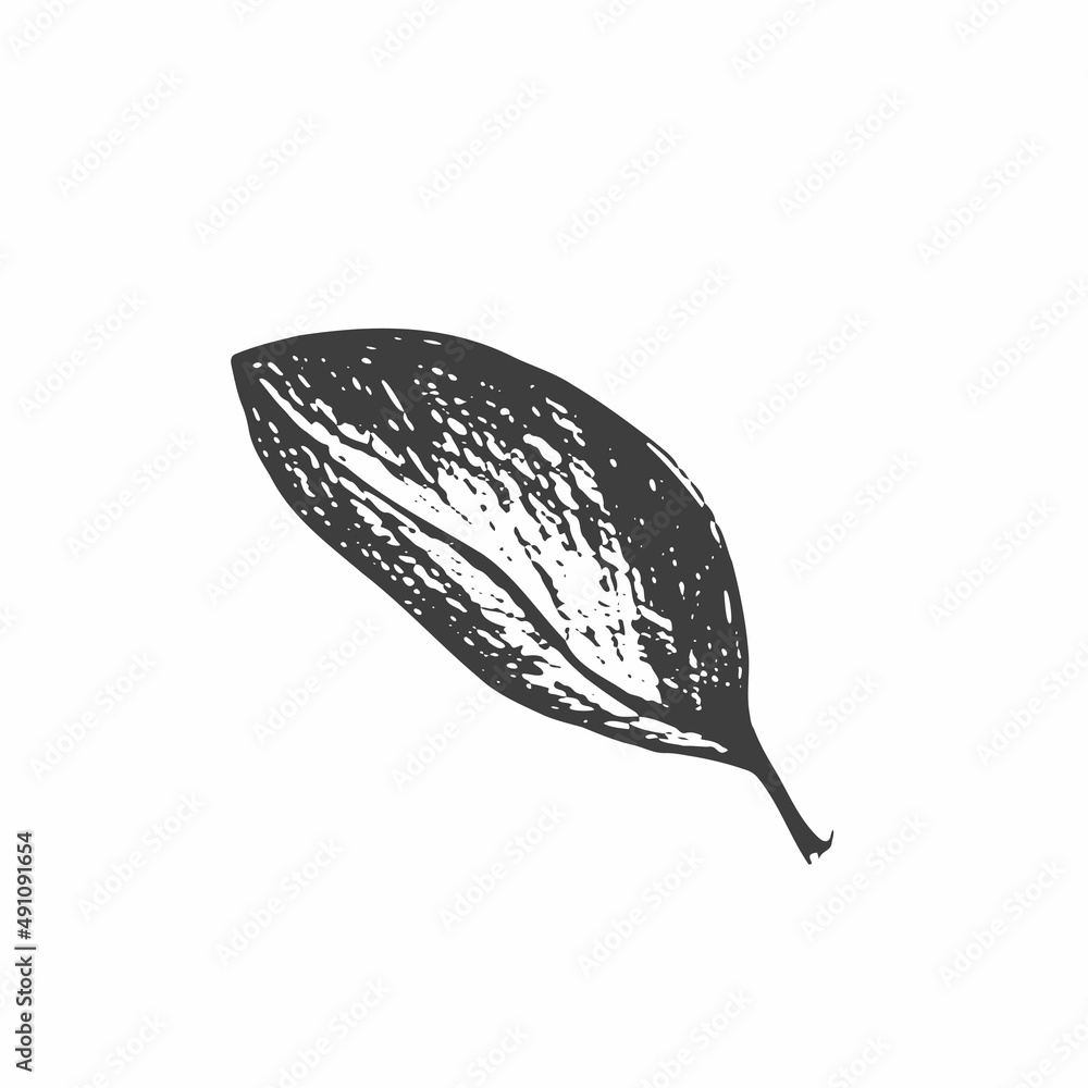 Realistic vector leaf. Vector ink element isolated on white background. Realistic vector leaf. Vector ink element isolated on white background.