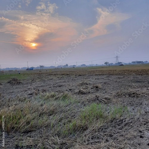 sunset on the field