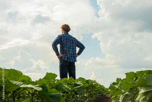 young farmer businessman in a plaid shirt in a sunflower field