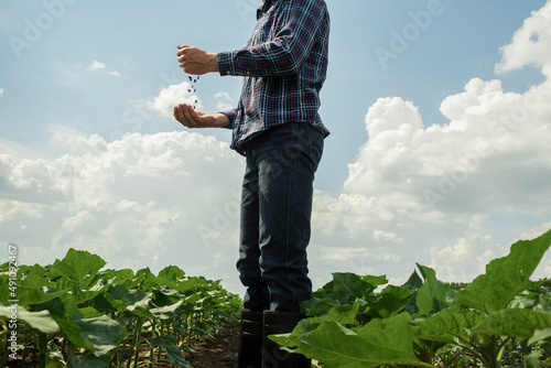 a young farmer in a plaid shirt and boots sows sunflowers in a field