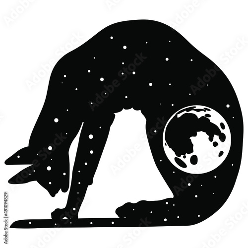 Ancient Egyptian cat as starry night sky with full moon inside. Creative concept. Black and white silhouette. photo