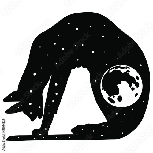 Ancient Egyptian cat as starry night sky with full moon inside. Creative concept. Black and white silhouette.