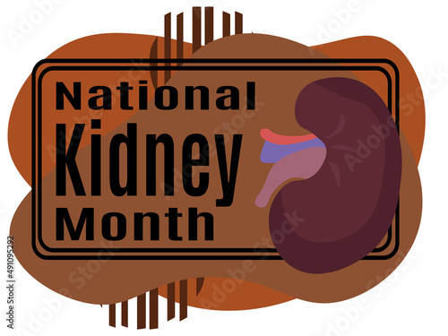 National Kidney Month, idea for a poster, banner, flyer or postcard on a medical theme