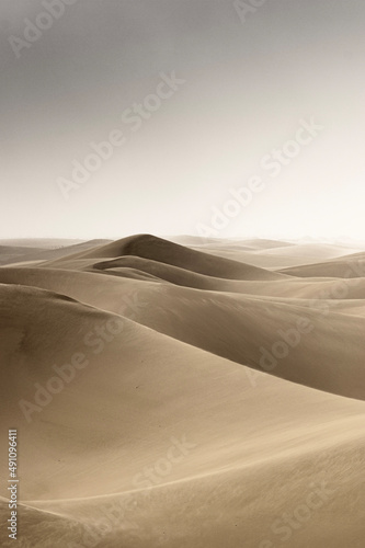 Fototapeta Naklejka Na Ścianę i Meble -  Namib dune 3