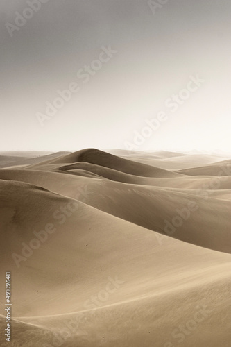 Namib dune 3