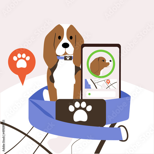 The beagle sits in a collar. Tracker for dogs. Application with geolocation in the phone. The location of the pet. photo