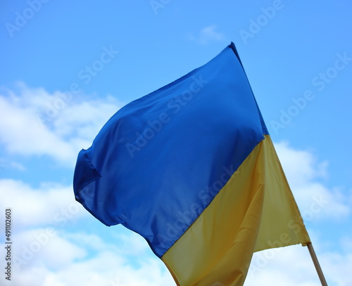 Flag of Ukraine waves on wind