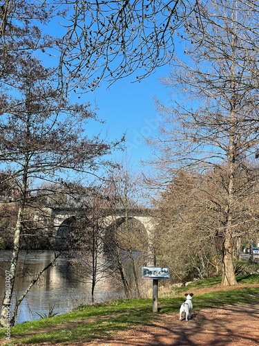 Obraz na płótnie Promenade en ville w salonie
