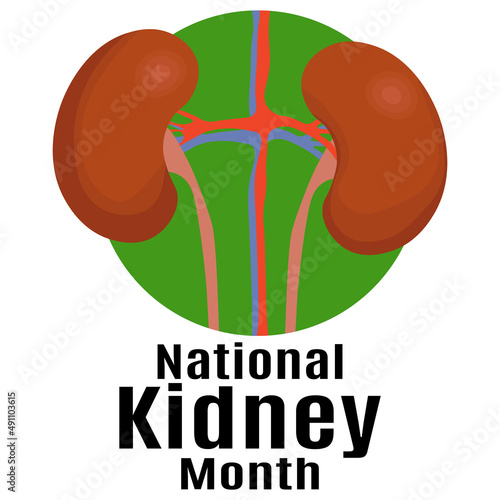 National Kidney Month, idea for a poster, banner, flyer or postcard on a medical theme