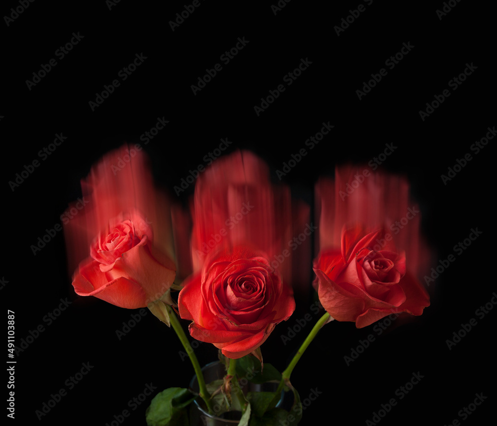 Three abstract roses on a dark background Three abstract roses on a dark background