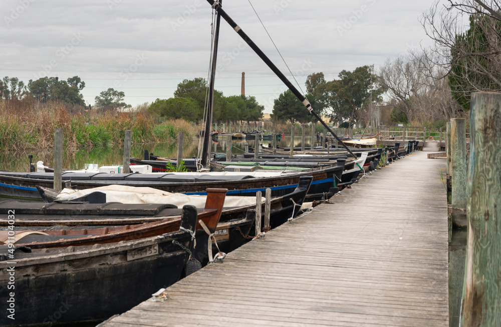 Fototapeta premium embarcadero del puerto de Catarroja ,en la albufera de valencia, donde se ven las pasarelas y los barcas atracados en los muelles , en un entorno natural de pinos ,con un cielo nublado