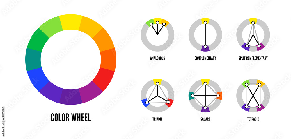 Color wheel harmonious color combinations vector template isolated