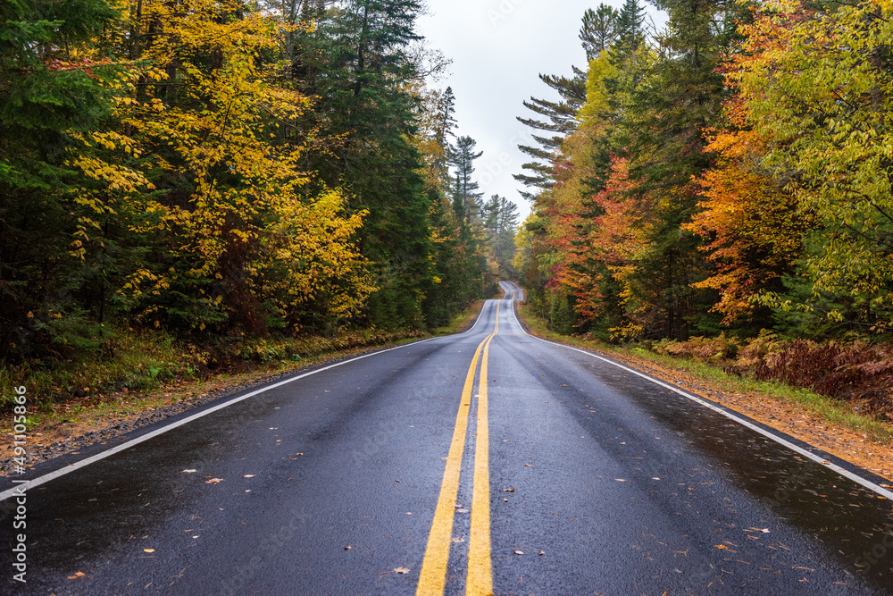 Bumpy Road - Adirondack Park Fall Foliage Bumpy Road - Adirondack Park Fall Foliage